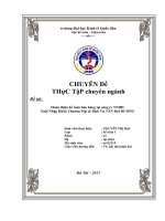 hoàn thiện kế toán bán hàng tại công ty tnhh xuất nhập khẩu thương mại & dịch vụ tân đại dương