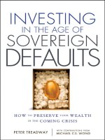investing in the age of soverei - peter t. treadway