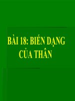 bài giảng sinh học 6 bài 18 biến dạng của thân