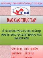 biện pháp nâng cao hiệu quả hoạt động huy động vốn tại quỹ tín dụng nhân dân đông minh