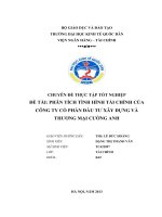 phân tích tình hình tài chính của công ty cổ phần đầu tư xây dựng và thương mại cường anh