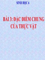 bài giảng sinh học 6 bài 3 đặc điểm chung của thực vật
