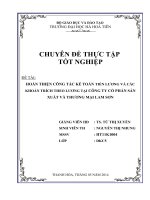 hoàn thiện công tác kế toán tiền lương và các khoản trích theo lương tại công ty cổ phần sản xuất và thương mại lam sơn