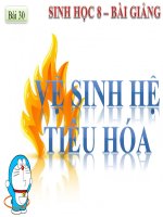 bài giảng sinh học 8 bài 30 vệ sinh tiêu hóa