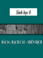bài giảng sinh học 8 bài 14 bạch cầu - miễn dịch