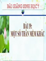 bài giảng sinh học 7 bài 19 một số thân mềm khác