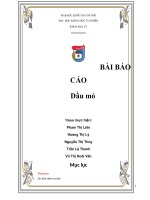 Phân bố dầu mỏ, các phương pháp khai thác và ứng dụng của nó trên thế giới và Việt Nam