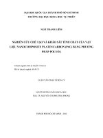 Nghiên cứu chế tạo và khảo sát tính chất của vật liệu Nanocomposite PlatinCarbon (PTC) bằng phương pháp Polyol