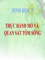 bài giảng sinh học 7 bài 23 thực hành mổ và quan sát tôm sông
