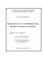 KHẢO SÁT XỬ LÝ 1 NAPHTHOL BẰNG  HUMIN VÀ BACILLUS SUBTILIS