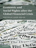 nolan (ed.) - economic and social rights after the global financial crisis (2014)