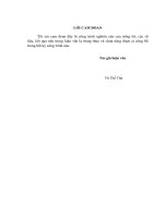 Đánh giá giá trị kinh tế tài nguyên đá vôi khu vực Hữu Lũng, Lạng Sơn