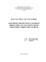 giải pháp nhằm nâng cao hoạt động cho vay tại ngân hàng tmcp phát triển nhà tp.hcm