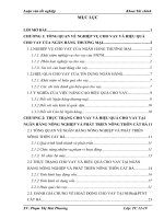 một số giải pháp nâng cao hiệu quả cho vay tại ngân hàng nông nghiệp và phát triển nông thôn cát bà