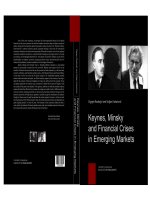 radonjic & kokotovic - keynes, minksky and financial crises in emerging markets (2014)