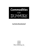 commodities for dummies (isbn - 0470049286)