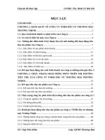 một số biện pháp đẩy mạnh hoạt động phát triển thị trường tiêu thụ sản phẩm của công ty tnhh đầu tư thương mại trường thịnh
