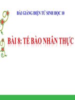 bài giảng sinh học 10 bài 8 tế bào nhân thực