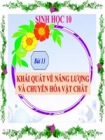 bài giảng sinh học 10 bài 13 khái quát về năng lượng và chuyển hóa vật chất