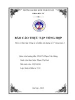 thực trạng về hoạt động sản xuất kinh doanh và đầu tư của công ty cổ phần xây dựng số 1 vinaconex-1 giai đoạn 2010-2012