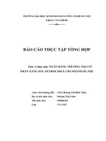 khái quát tình hình tài chính và kết quả hoạt động của ngân hàng thương mại cổ phần xăng dầu petrolimex chi nhánh hà nội (giai đoạn 2010 – 2012 )