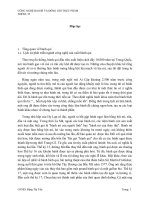 tìm hiểu về bao bì bánh quy