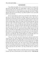 Phân tích tình hình thực hiện chi phí nguyên vật liệu và biện pháp nâng cao hiệu quả sử dụng chi phí nguyên vật liệu tại Công ty TNHH Kaiyang Việt Nam