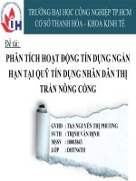 phân tích hoạt động tín dụng ngắn hạn tại quỹ tín dụng nhân dân thị trấn nông cống