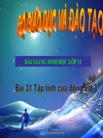 bài giảng sinh học 11 bài 31 tập tính của động vật