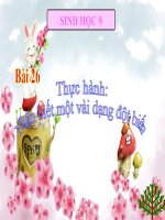 bài giảng sinh học 9 bài 26 thực hành nhận biết một vài dạng đột biến