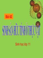 bài giảng sinh học 11 bài 42 sinh sản hữu tính ở thực vật