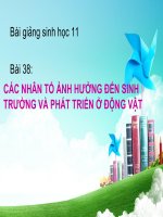bài giảng sinh học 11 bài 38 nhân tố ảnh hưởng đến sinh trưởng và phát triển ở động vật