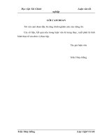 đánh giá thực trạng tài chính và các giải pháp nâng cao hiệu quả hoạt động kinh doanh tại công ty tnhh công nghệ và nguyên liệu thực phẩm