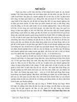 Phân tích tình hình thực hiện chi phí nguyên vật liệu và biện pháp nâng cao hiệu quả sử dụng chi phí nguyên vật liệu tại Công ty TNHH Ngọc Minh