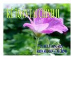 Bài giảng kế toán tài chính 2 _chương 1  Kế toán các giao dịch ngoại tệ