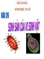 bài giảng sinh học 10 bài 26 sinh sản của vi sinh vật
