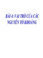 bài giảng sinh học 11 bài 4 vai trò của các nguyên tố khoáng