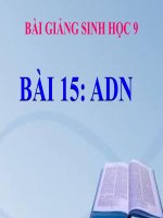 bài giảng sinh học 9 bài 15 adn