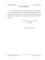 những giải pháp chủ yếu nhằm nâng cao lợi nhuận của công ty cổ phần sobic việt nam