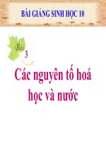 bài giảng sinh học 10 bài 3 các nguyên tố hóa học và nước