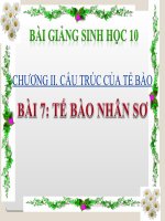 bài giảng sinh học 10 bài 7 tế bào nhân sơ