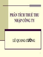 PHÂN TÍCH THUẾ THU NHẬP CÔNG TY