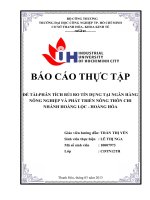 phân tích rủi ro tín dụng tại ngân hàng nông nghiệp và phát triển nông thôn chi nhánh hoằng lộc - hoằng hóa