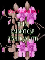 bài giảng sinh học 9 bài 3 lai một cặp tính trạng (tiếp theo)