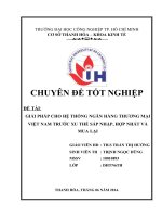 giải pháp cho hệ thống ngân hàng thương mại việt nam trước xu thế sáp nhập, hợp nhất và mua lại