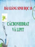 bài giảng sinh học 10 bài 4 cacbonhiđrat va lipit