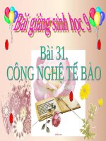 bài giảng sinh học 9 bài 31 công nghệ tế bào