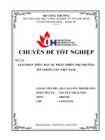 giải pháp thúc đẩy sự phát triển thị trường bất động sản việt nam