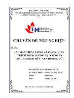 kế toán tiền lương và các khoản trích theo lương tại công ty trách nhiệm hữu hạn dương đức