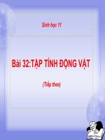 bài giảng sinh học 11 bài 32 tập tính của động vật (tt)